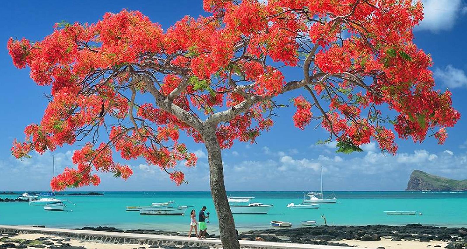 Drei neue Webinare über Mauritius
