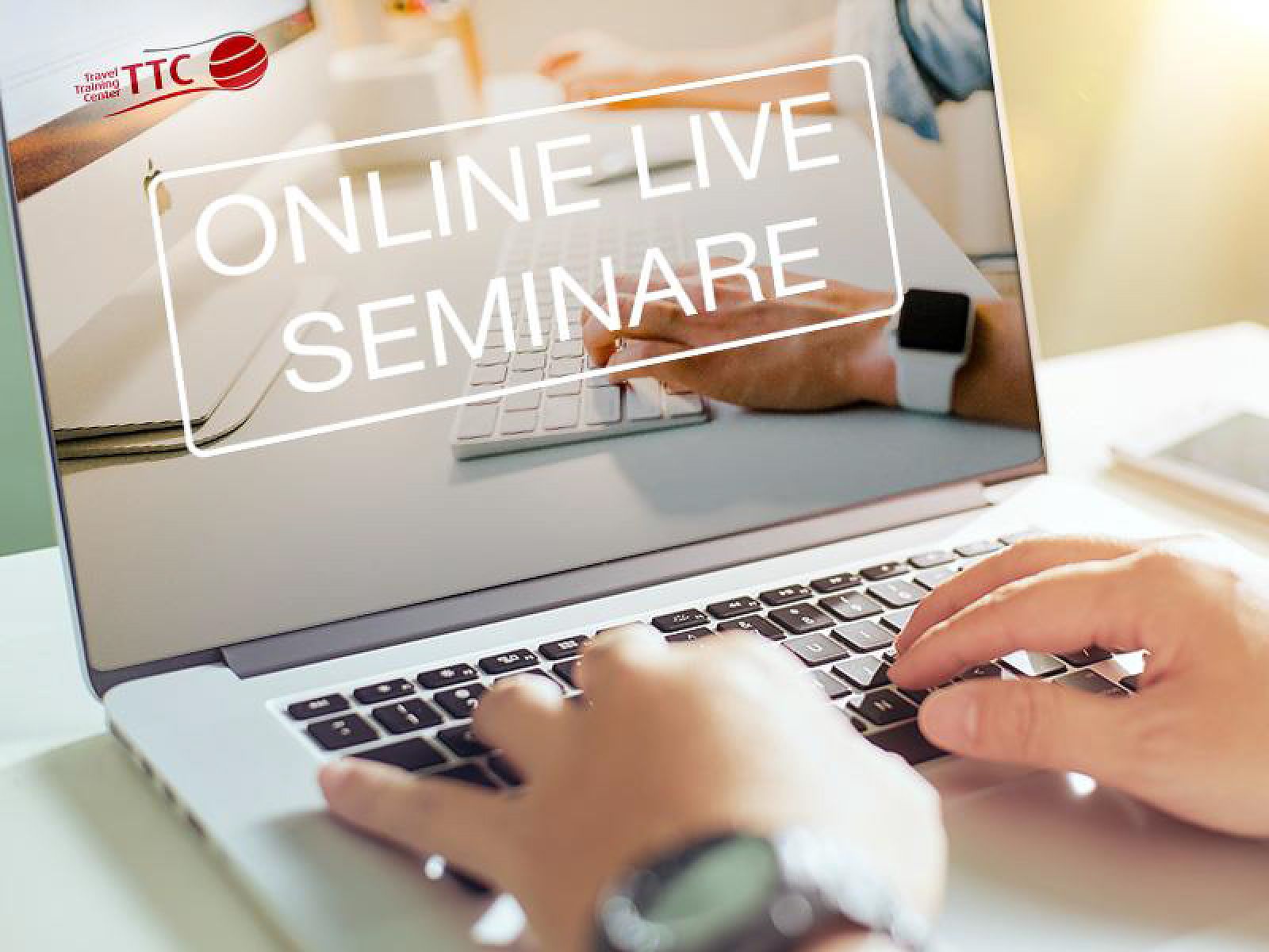 Mit neuen Online Live Trainings durch den Sommer