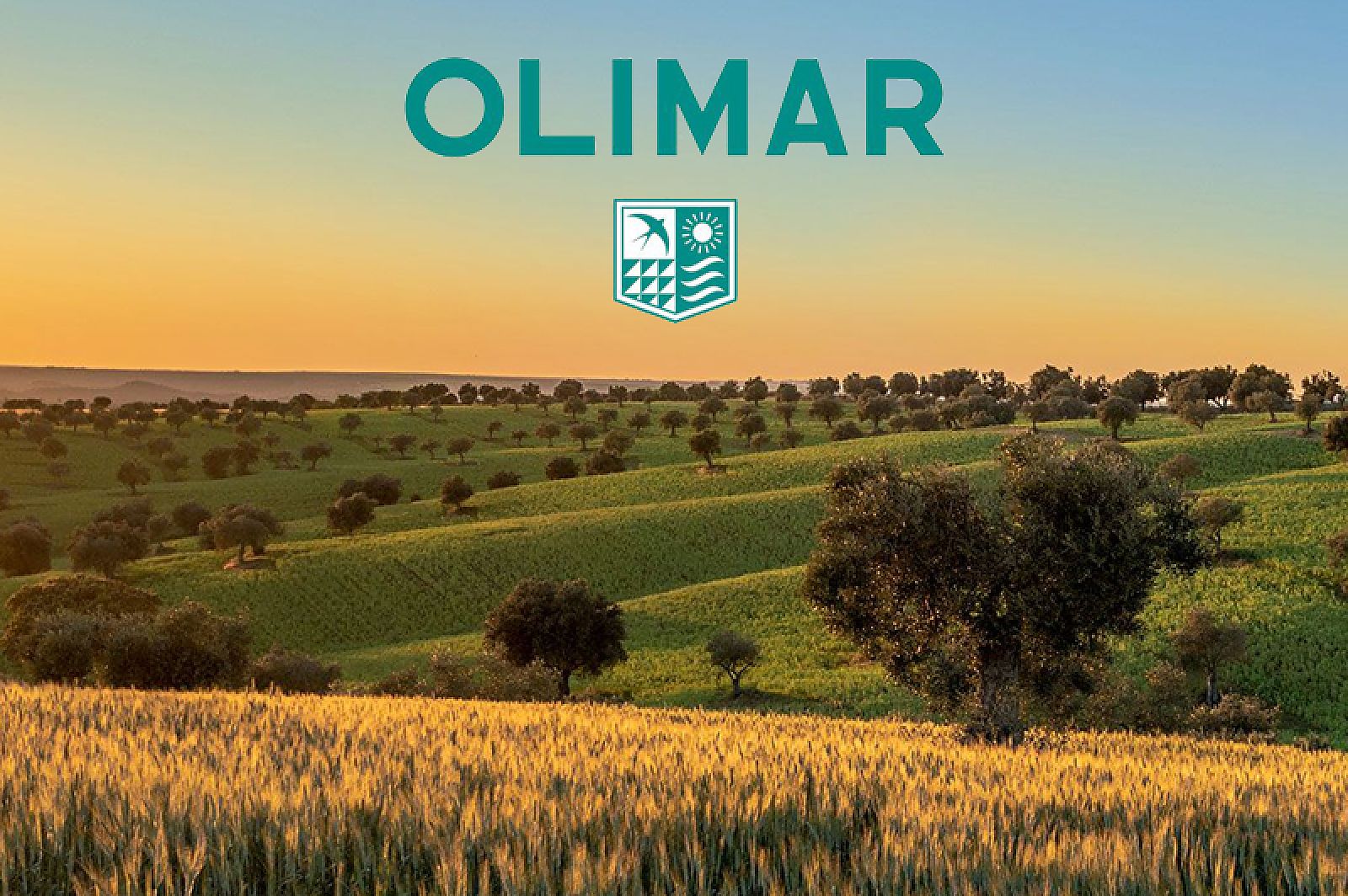 OLIMAR präsentiert neue Webinar-Termine